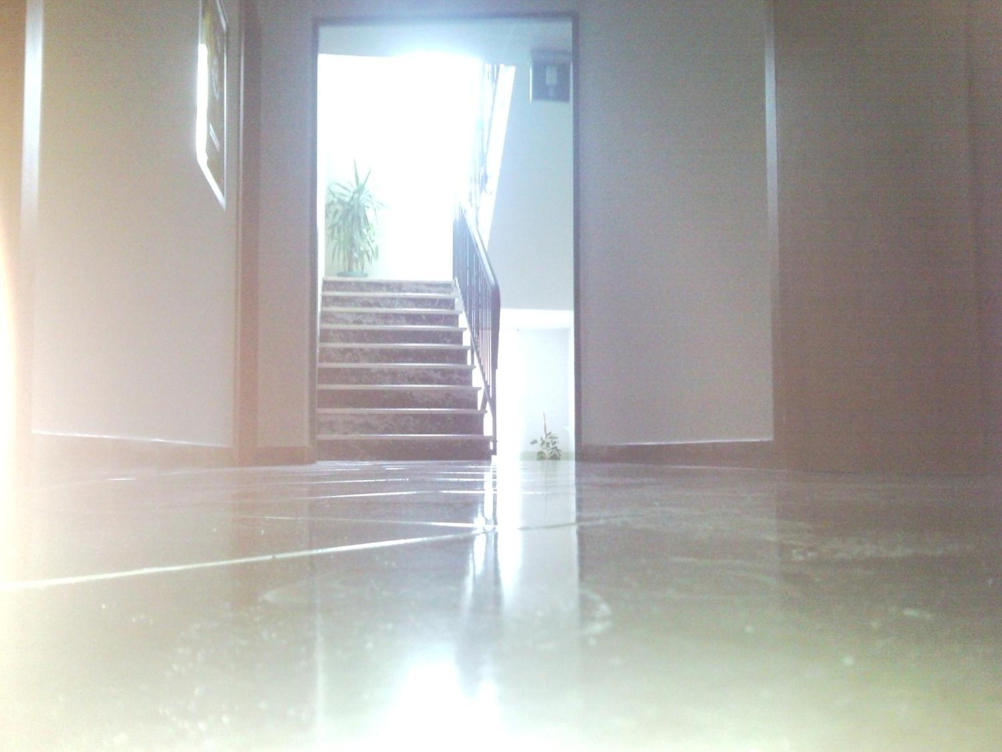 Hotel Trinidad Ρίμινι Εξωτερικό φωτογραφία